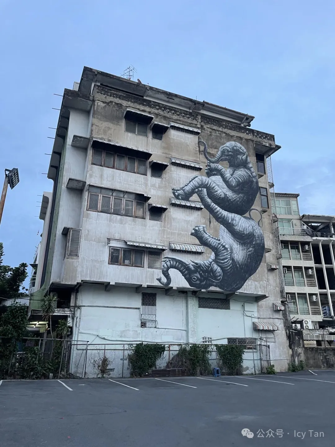 大象