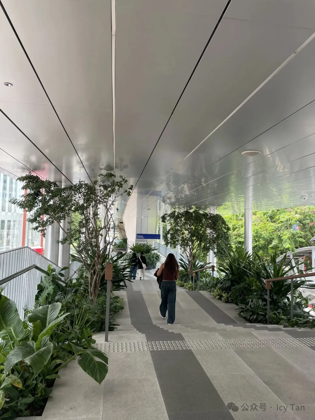 SKY TRAIN走廊的綠植