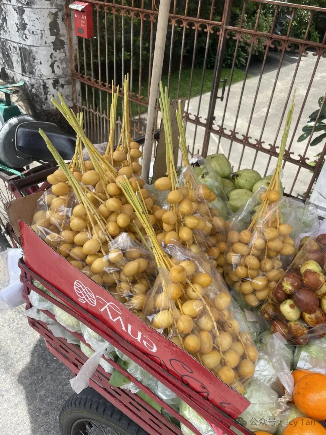 黃皮果？